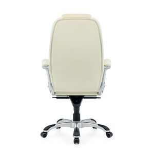 Кресло руководителя Bruny Premium