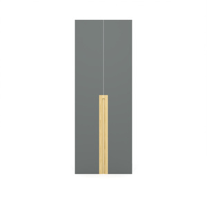 Двери глухие высокие